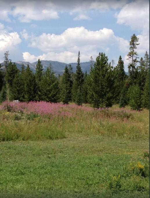 Lazy Fox Cabin West Yellowstone Extérieur photo
